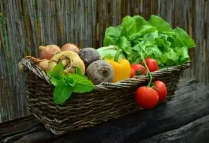Vegan & Vegetarian is Growing…but Why?