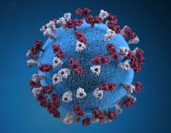 Coronavirus Covid