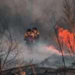 forest fire pollution breathe clean