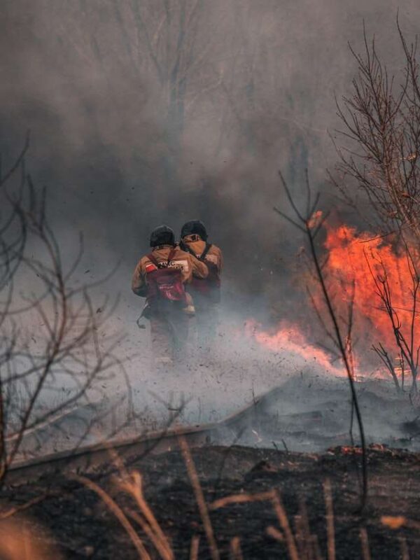 forest fire pollution breathe clean