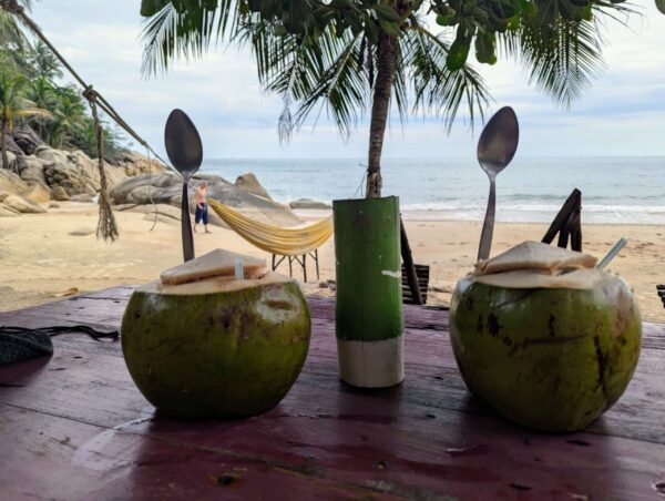 coconut health benefits