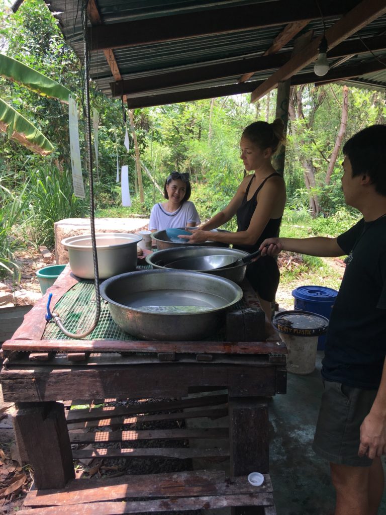Washing Dishes at Gaia Ashram Ecovillage