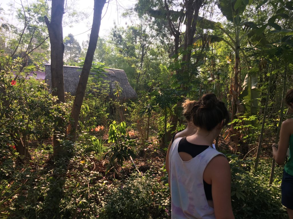 Wandering through the Forest at Gaia Ecovillage